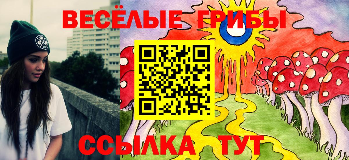 Псилоцибиновые грибы Psilocybine cubensis Черняховск