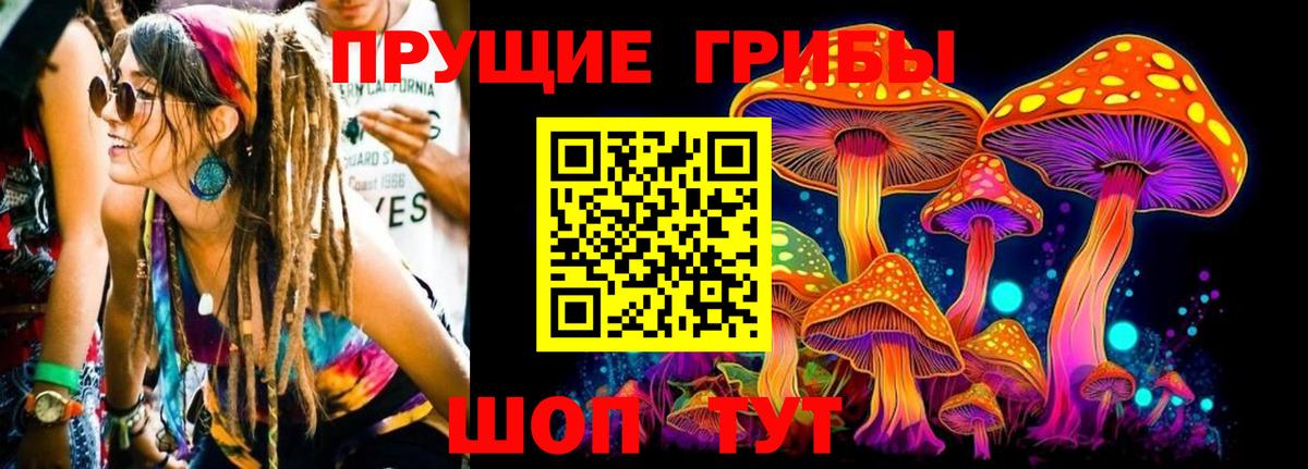 Галлюциногенные грибы Magic Shrooms  Вход с VPN  Черняховск 